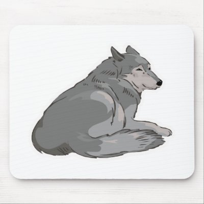 grey wolf sitting