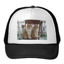 Sitting pretty hat