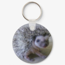 Sitting pretty hedgehog keychains