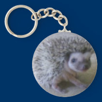 Sitting pretty hedgehog keychains