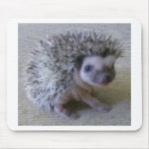 Sitting pretty hedgehog mousepads