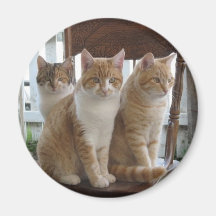 Sitting pretty magnet