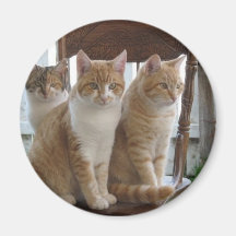 Sitting pretty magnets