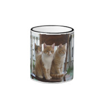 Sitting pretty mug