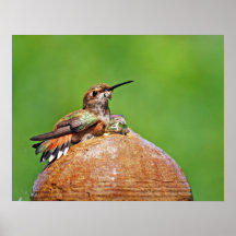 Sitting Pretty Print