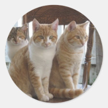 Sitting pretty round sticker