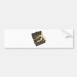 SittingInTreasureChest031910 Bumper Stickers