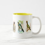 Six Assorted Birds Natural History Mug