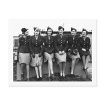 Six Friends on a Fence Postcard