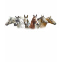 Six Horses t-shirts