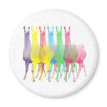 six lamas in six llama colors magnets