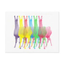six lamas in six llama colors postcards
