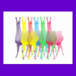 six lamas in six llama colors postcards