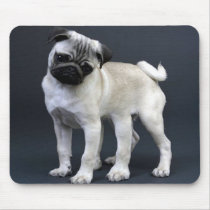 Six Legged Pug mousepads