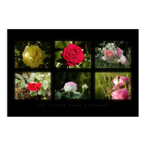 six little rose pictures posters