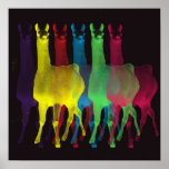 six llamas in six colors posters