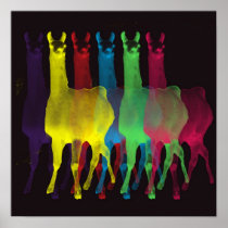 six llamas in six colors posters