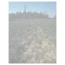 Six Mile Lake Area Vegetation Letterhead