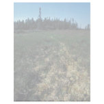 Six Mile Lake Area Vegetation Letterhead