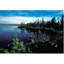 Six Mile Lake photo sculptures by animalpark Six Mile Lake photo sculptures