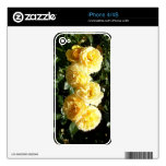 Six Yellow Roses Decals For iPhone 4
