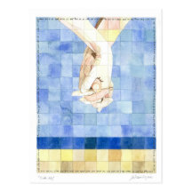 Sixth Day (7 days of creation) Postcard
