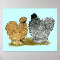 Sizzle Chickens Posters
