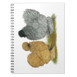 Sizzle Chickens Spiral Note Books
