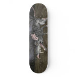 Sk8 Rat Deck Skateboard
