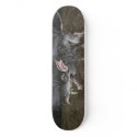 Sk8 Rat Deck Skateboard