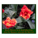 Skagit Valley Tulip Festival posters