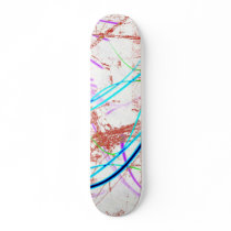 skate1 skateboards
