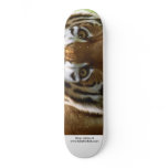 Skate board eye of the tiger skateboards