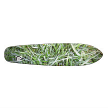 Skate Board Grass