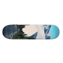 Skate board with snow