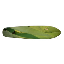Skate Grass skateboards by blondiechick1987 Skate Grass skateboards