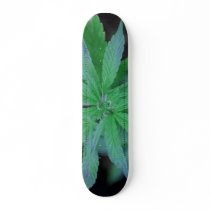 Skate-o-Rama skateboards by ladyblazr Skate-o-Rama skateboards