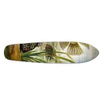 skateboard - aquarium fish-Cichlasoma Severum