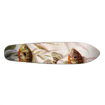 skateboard - aquarium fish - Common Sunfish  Black