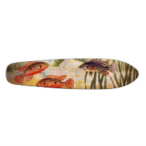 skateboard - aquarium fish - Pair of Hemichromis