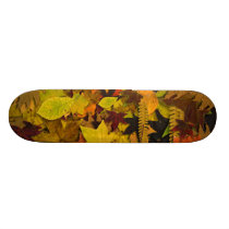 Skateboard - Autumn Leaves skateboards