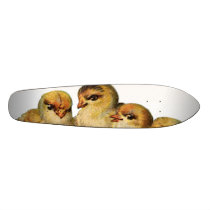 skateboard - baby chicks