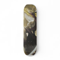 Skateboard Decks