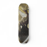 Skateboard Decks