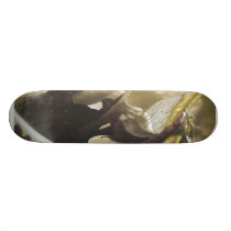 Skateboard Decks skateboards