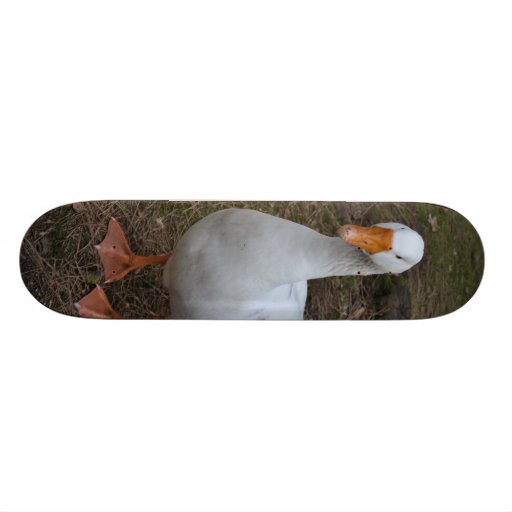 skateboard duck | Zazzle
