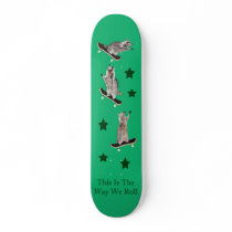 skateboard_final 5