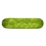 Skateboard - Kiwi skateboards