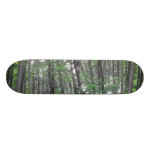 skateboard nature woods