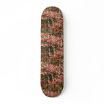 Skateboard / New England Fall